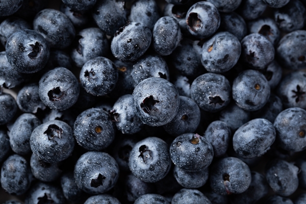 closeup shot of blueberries with water droplets - Крыжовник в черничном соке