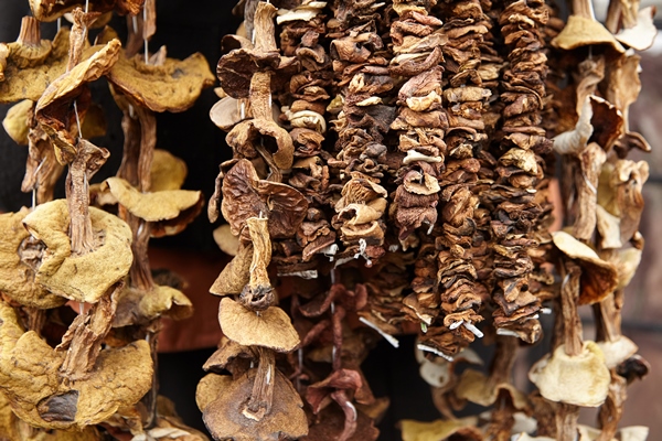 dried mushrooms hanging on a string closeup - Щи зелёные из одного щавеля или пополам со шпинатом