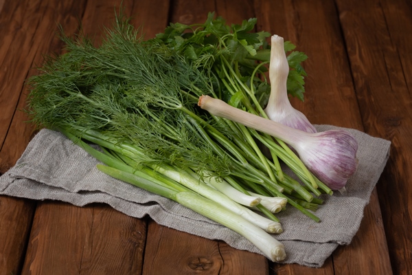 fresh chives dill parsley cilantro and garlic on a wooden background - Суп острый из красной фасоли с орехами