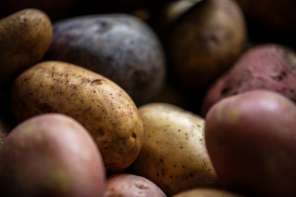 fresh potatoes root vegetable - Похлёбка постная с грибами