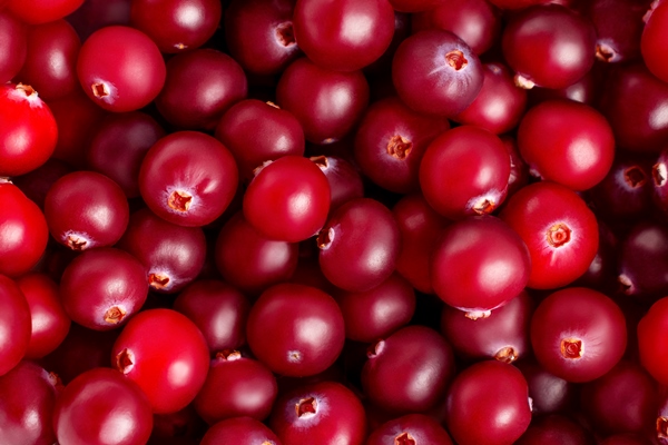 fresh ripe ruby cranberries closeup - Квас клюквенный