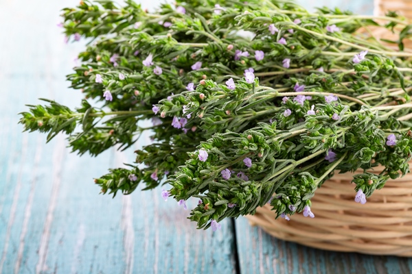 fresh thyme in a basket - Квас с чабрецом