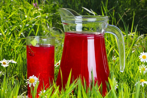 glass and jug of fruit water over green grass - Смородиновый медовый квас