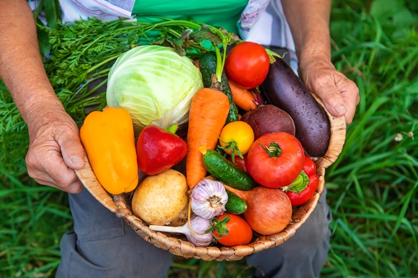 grandmother in the garden with a harvest of vegetables selective focus - Борщ украинский