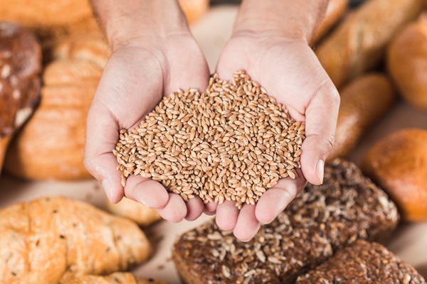 handful wheat grains over the baked fresh bread - Сочиво