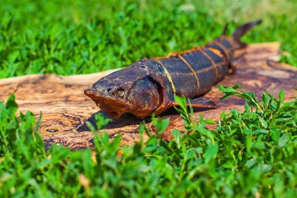 hot smoked sturgeon lying on a wooden board - Рассольник из рыбы