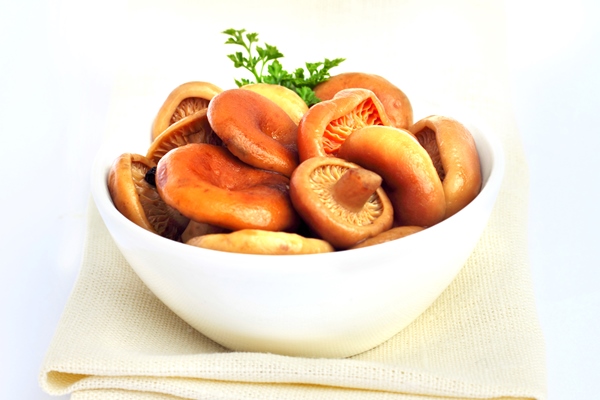 Грибы рыжики в сметанном соусе – пошаговый рецепт приготовления с фото
