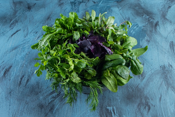 metal bowl of fresh healthy green leaves on blue surface - Суп картофельный с бобовыми