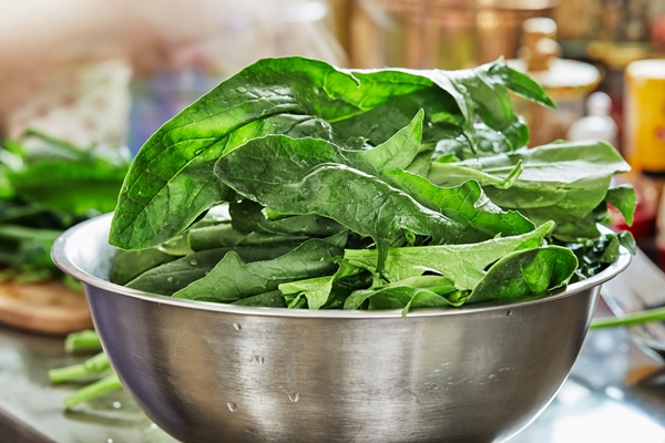 preparing sorrel in metal bowl according to recipe from the internet for lasagna with goat cheese - Щи зелёные из молодой крапивы