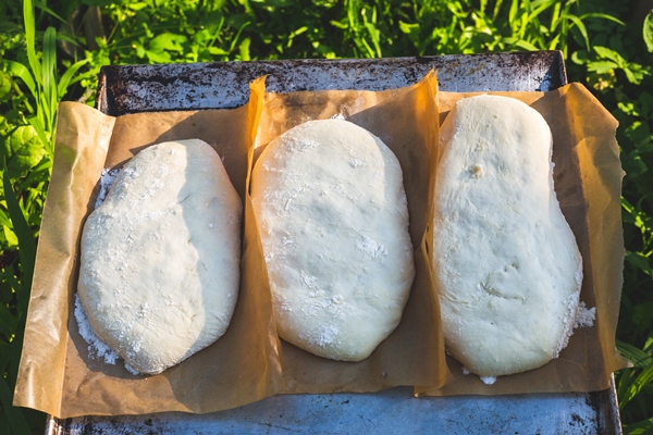 proofing dough for ciabatta natural bread sour dough - Чиабатта