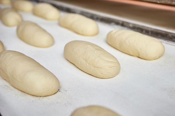 raw dough bread on a oven tray before baking in an oven at the manufacturing - Домашние городские булки