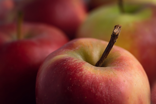 selective focus shot of red apples placed on the table - Филёвский квас