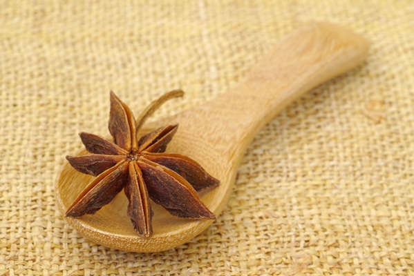 spices on a wooden spoon - Летний квас с бадьяном и мятным сиропом