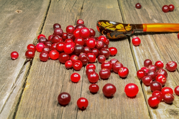 still life with cranberries on a wooden table - Клюквенный квас с можжевеловыми ягодами