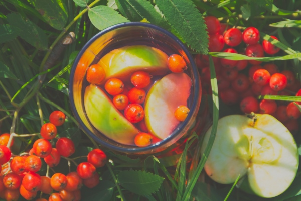 summer healing tea berry mountain ash and apples - Тверской квас