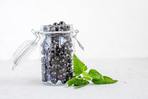 tasty black currant with mint in a glass jar white background - Московский квас