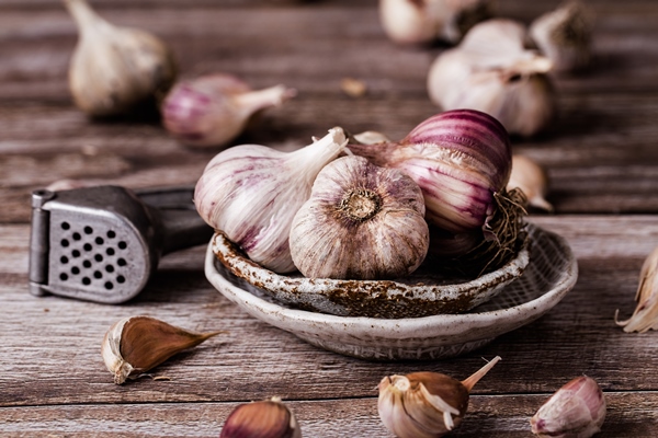 the bulbs of garlic slice on ceramic plate on a wooden table the garlic press - Деруны с чесноком