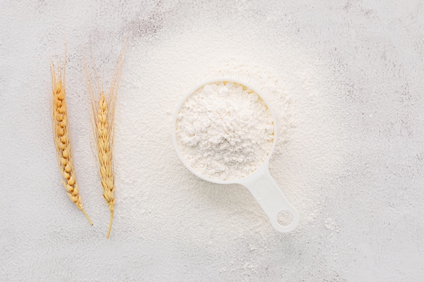 the ingredients for homemade pizza dough with wheat ears wheat flour and olive oil set up on white concrete background top view and copy space - Драники с яблоками и брусникой