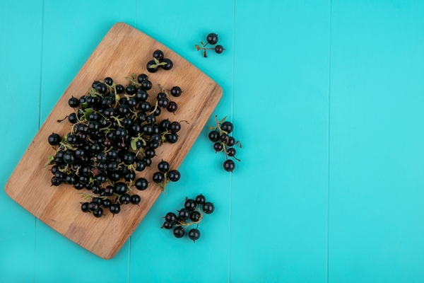 top view copy space black currant on the blackboard on a light blue background - Простой суп из свежих ягод