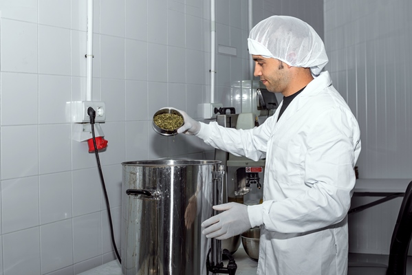 worker pouring tea in kombucha making in food factory - Чайный квас (японский гриб)