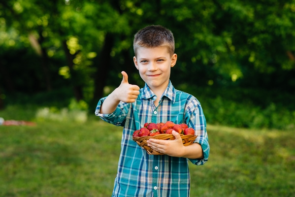 a small cute boy stands with a large box of ripe and delicious strawberries harvest ripe strawberries natural and delicious berry - Готовим фруктовые шашлычки месте с детьми