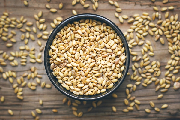 wheat grains in bowl and wheat popcorn in bowl wheat seed rustic - Кутья из пшеницы с маком