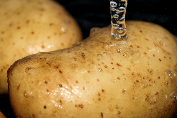 young raw potatoes in their skins are washed in clean water before cooking close up macro photography - Картофель "в мундире"
