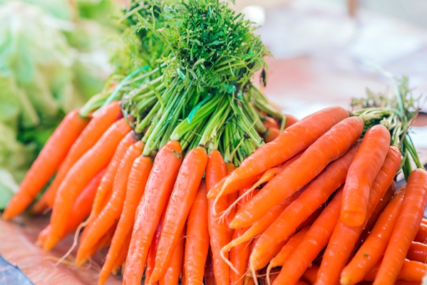 carrots fresh organic carrots fresh garden carrots bunch of fresh organic carrots at market - Щи репяные