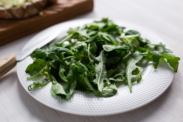 fresh arugula salad on a plate concept of dieting or detox or vegetarian - Бутерброды с кешью-массой и помидорами черри