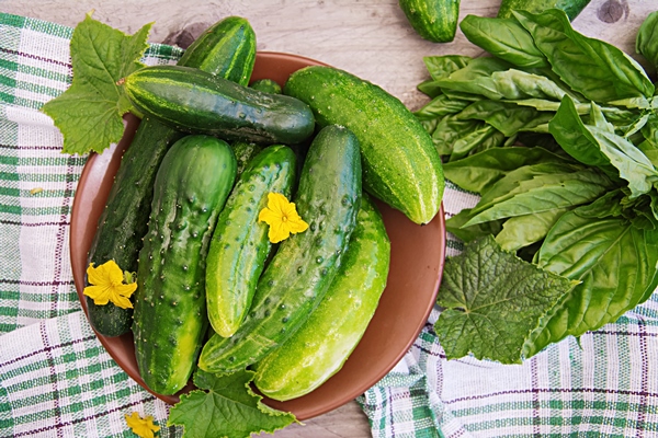 fresh cucumbers from the garden on the table in the summer garden top view - Салат овощной с кунжутом и гранатом