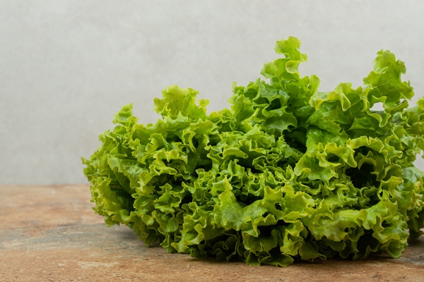fresh green vegetable on marble surface - Новогодний бутерброд "Снеговик"