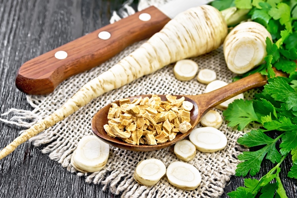 fresh whole and chopped parsley roots with green tops dried root in a spoon on burlap napkin a knife on dark wooden board background - Щи репяные