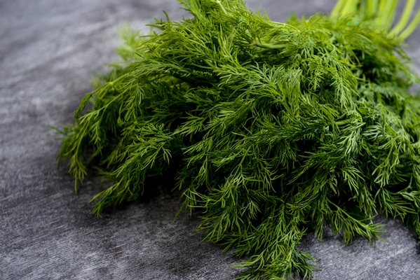 picture of green dill on grey table - Новогодние бутерброды "Ёлочка"