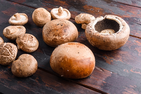 portobello and shiitake mushrooms set on old wooden table - Монастырская кухня: овсяная каша на грибном бульоне, вафли с яблоком
