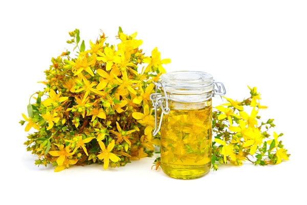 st john s wort extract in glass bottle and branch of fresh yellow flowers isolated on white - Напиток из зверобоя