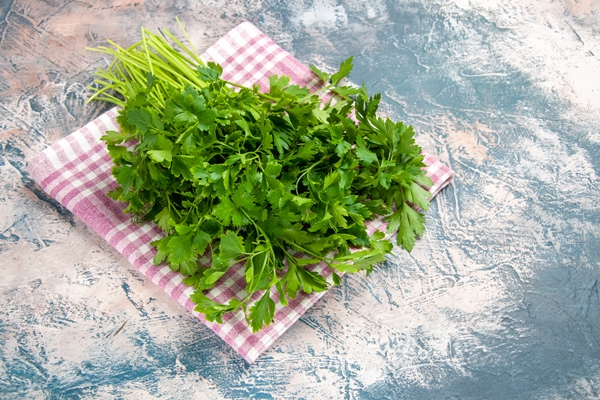 front view fresh greens on light background salad color photo ripe meal 1 - Кабачковые оладьи