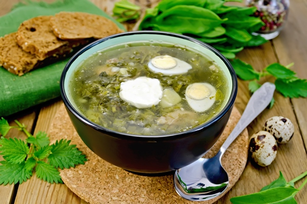 green soup of sorrel nettles and spinach in a bowl of quail eggs bread pepper spoon on a wooden boards - Щи зелёные с мясом и яйцом