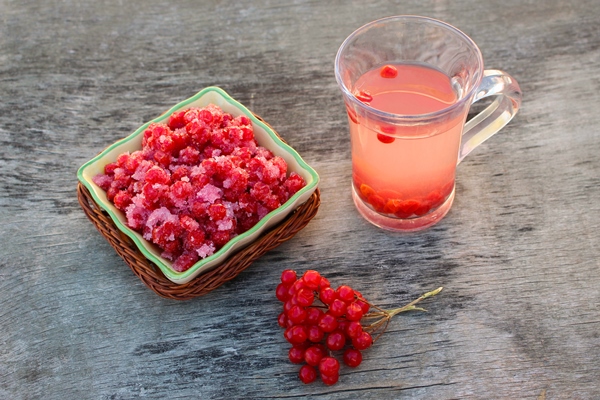 guelder rose jam fresh viburnum and tea viburnum - Русская кулага (солодуха)