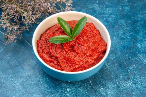 front view fresh tomato paste on blue color salad red tree vegetable food ripe - Зразы из телятины