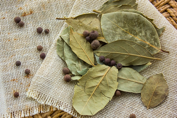bay leaves on sack background dry bay leaf dried laurel bay leaves in bundle - Соус с хреном для отварного языка и мяса