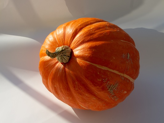 closeup of an isolated pumpkin on a white background - Монастырская кухня: пшённая каша в тыкве, постное печенье на рассоле (видео)