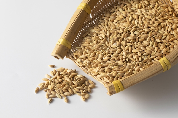 closeup shot of a heap of oats grains - Монастырская кухня: овсяная каша, закуска из баклажанов (видео)