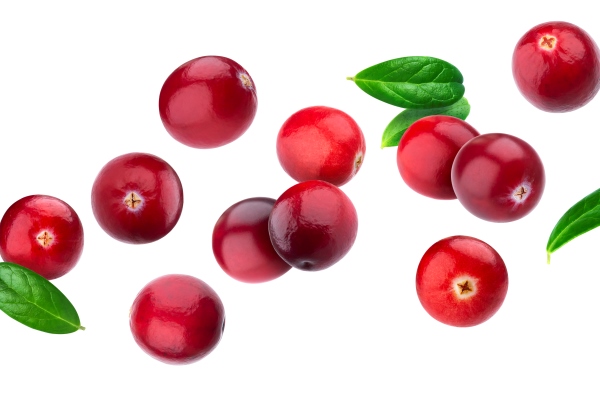 cranberry isolated on white with clipping path - Монастырская кухня: калья и ягодный десерт (видео)