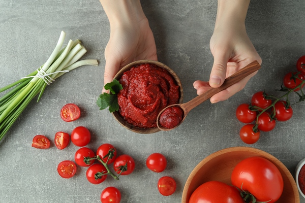 female hands hold bowl and spoon with tomato paste on gray background with ingredients - Соус томатный к отварной и паровой рыбе