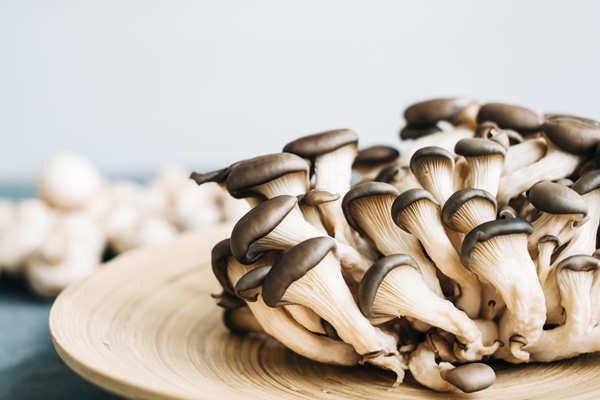fresh oyster mushrooms on wooden plate close up - Вешенки с овощами в маринаде