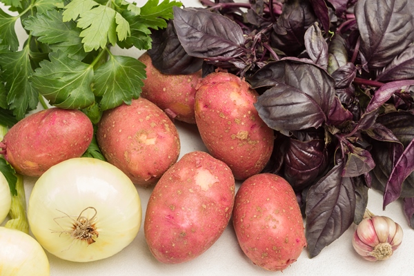 fresh vegetables potatoes and bunches of parsley and basil close up white background - Монастырская кухня: луковый суп с капустой, свекольные котлеты (видео)