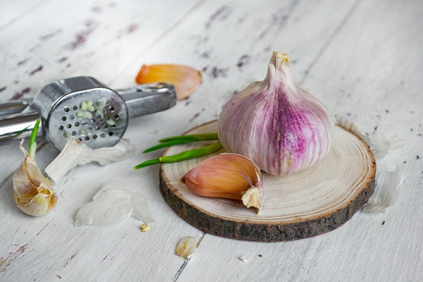 garlic and garlic press - Хумус из пророщенной гречки