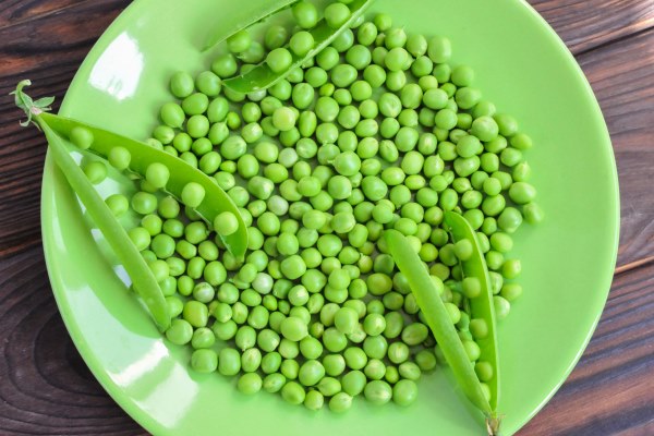 green peas on a green plate 1 - Монастырская кухня: мидии в белом вине, салат из авокадо со спаржей и креветками (видео)