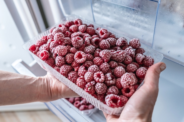 hand are taking a container of frozen raspberries out of the freezer of the fridge - Каша на завтрак без варки