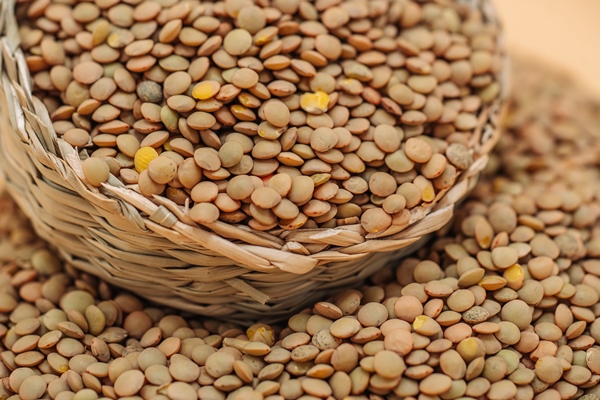 healthy organic dried lentils in a straw basket - Монастырская кухня: рис с чечевицей, яблочный мусс (видео)